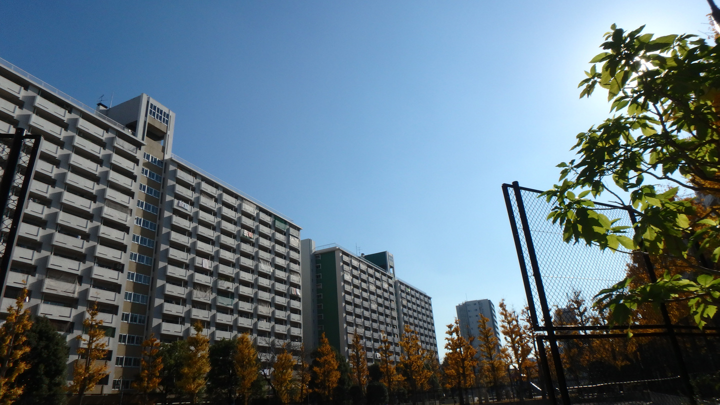 公共住宅